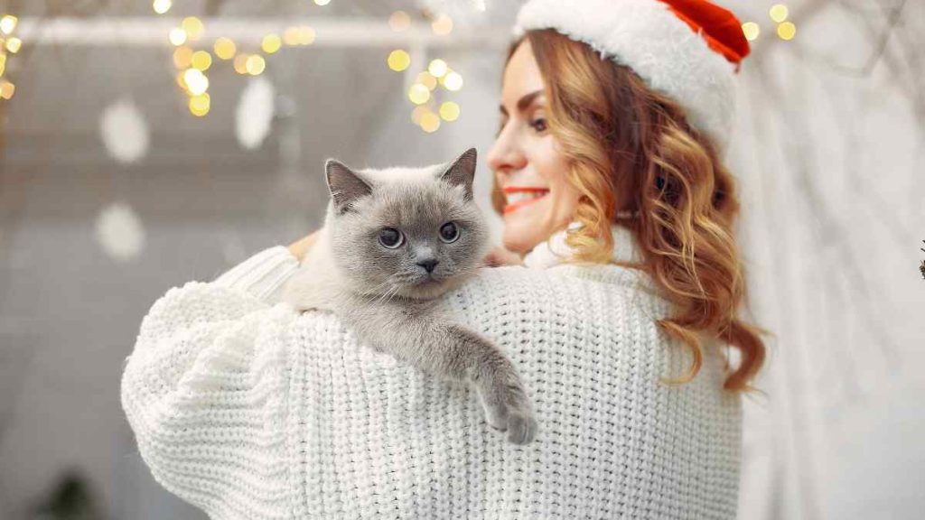 Most Affectionate Cat Breeds