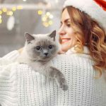 Most Affectionate Cat Breeds