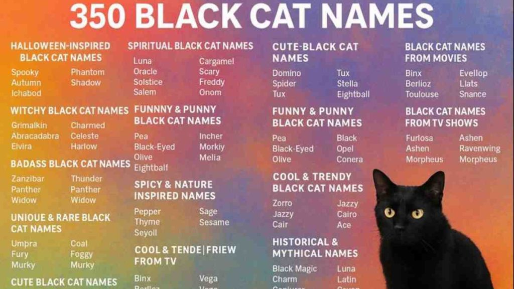 350 Black Cat Names
