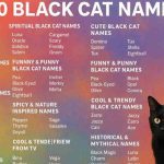 350 Black Cat Names