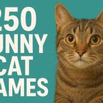 250 Funny Cat Names